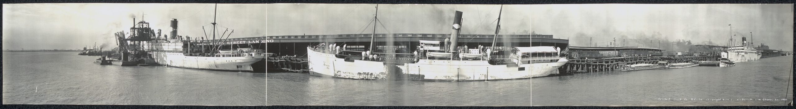 1910 photographic panorama of United Fruit Company ships in New Orleans (A. L. Barnett, Library of Congress. Wikipedia)